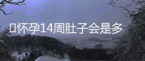 怀孕14周肚子会是多大呢