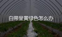 白带呈黄绿色怎么办