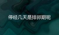 停经几天是排卵期呢
