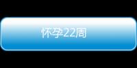 怀孕22周