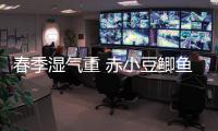 春季湿气重 赤小豆鲫鱼是利水“良配”