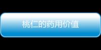 桃仁的药用价值