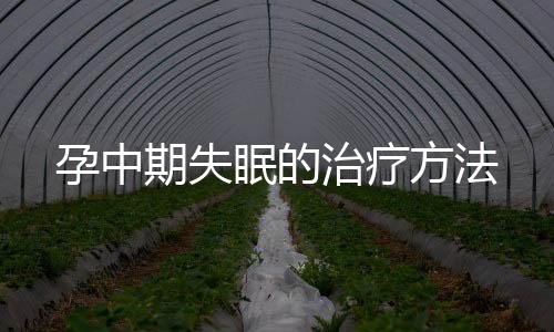 孕中期失眠的治疗方法