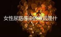 女性尿路感染的原因是什么