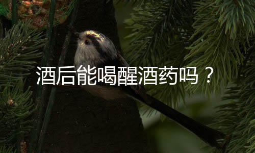酒后能喝醒酒药吗?