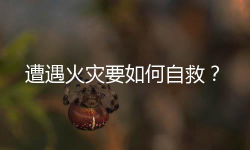 遭遇火灾要如何自救？