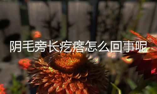 阴毛旁长疙瘩怎么回事呢?