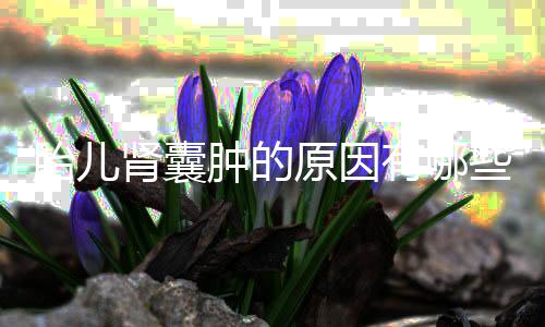 胎儿肾囊肿的原因有哪些?