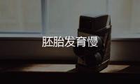 胚胎发育慢